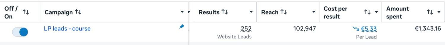 Meta Ads Manager campaign row: 252 website leads, 102,947 reach, €5.33 cost per lead, €1,343.16 spent.